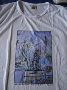Camisas 5 225x300 - Dica de presente - Camisas com imagens de Juiz de Fora
